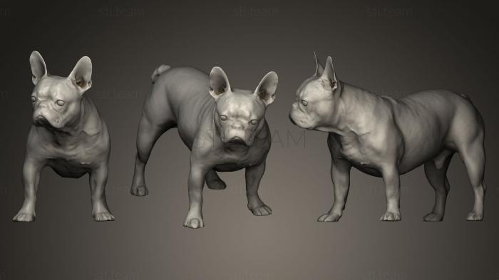 3D model DOG B2 (STL)